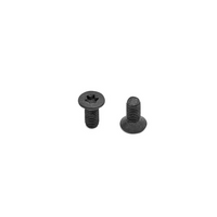 Zestaw śrub do aluminiowych okładzin CZ Torx T15 - 2 szt.